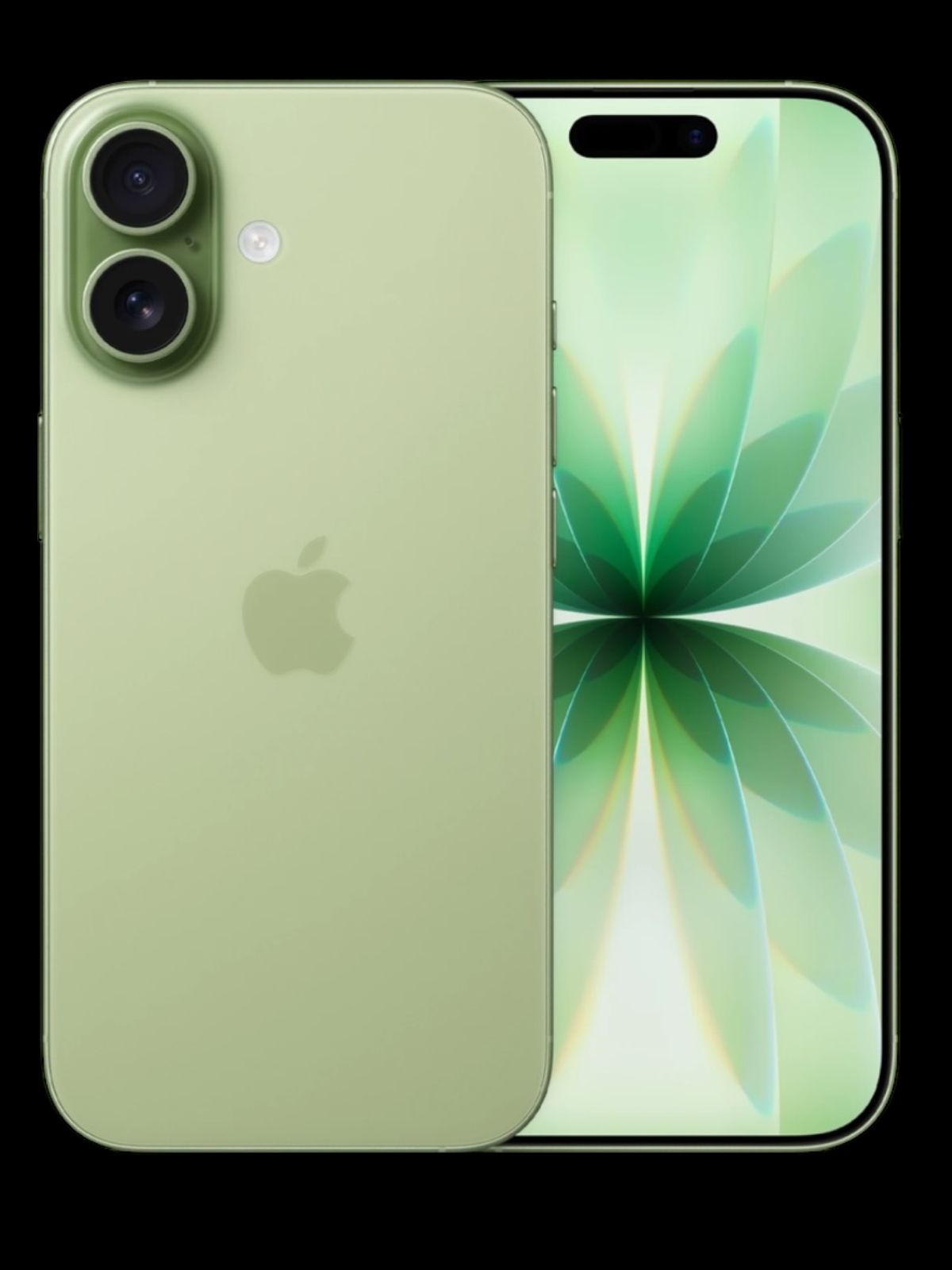 iPhone 17 Sage